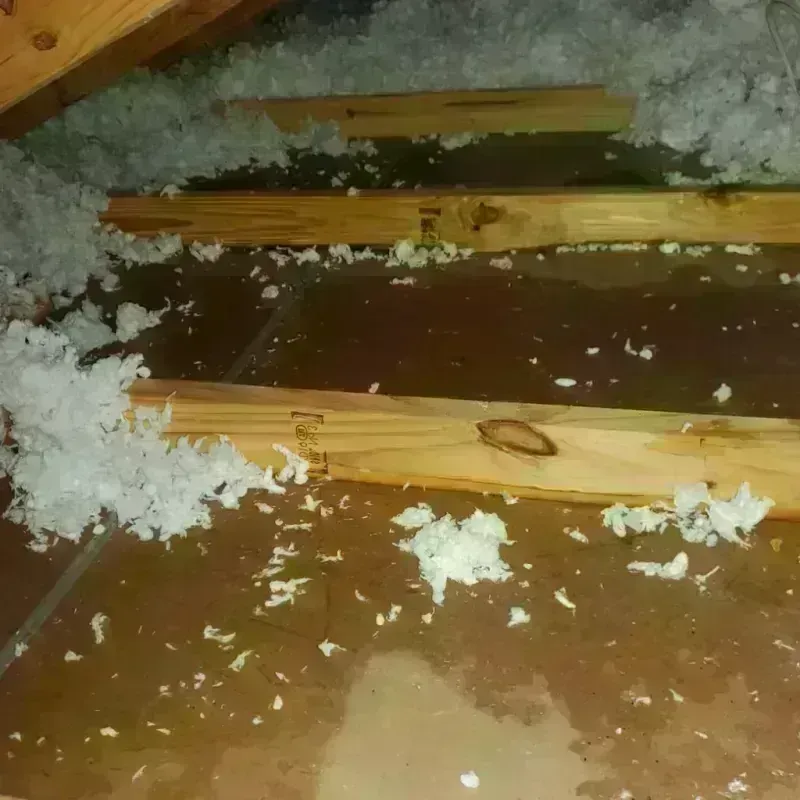 Attic Water Damage in Beech Mountain Lakes, PA